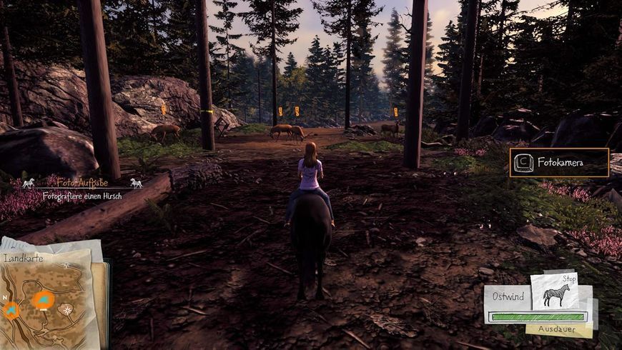 Гра Sony PlayStation 4 Ostwind Das Spiel Англійська версія Б/У 8535 фото