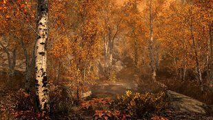 Гра Sony Playstation 4 The Elder Scrolls V Skyrim Російська Озвучка Б/У 492 фото