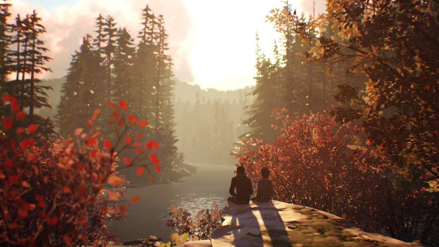 Гра Sony PlayStation 4 Life is Strange 2 Російські Субтитри Б/У 318 фото
